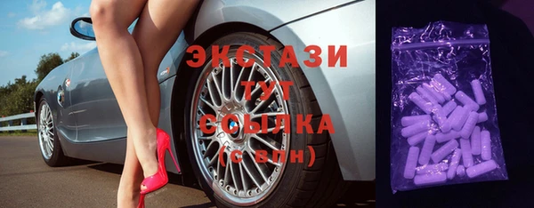 СК Новодвинск