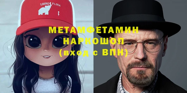 СК Новодвинск