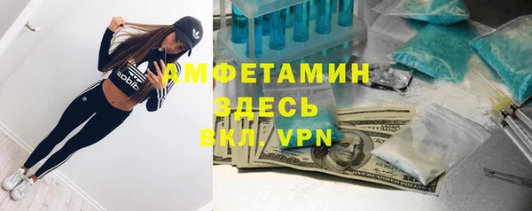 СК Новодвинск