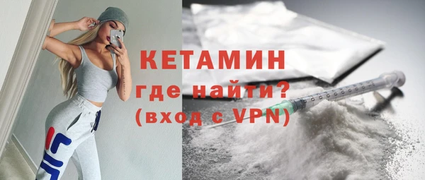 СК Новодвинск