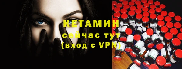 СК Новодвинск