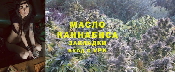 СК Новодвинск