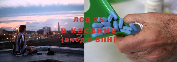 СК Новодвинск