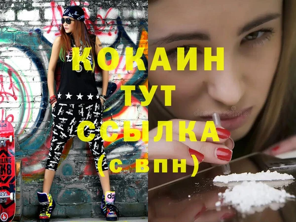 СК Новодвинск