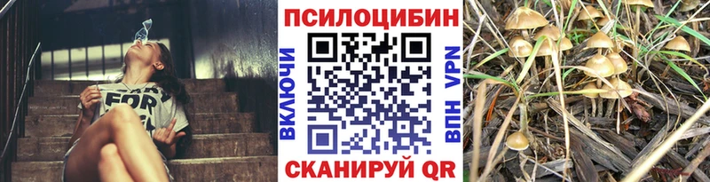 Галлюциногенные грибы MAGIC MUSHROOMS  где можно купить   сайты даркнета как зайти  Теберда 