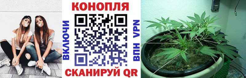 где купить наркоту  кракен маркетплейс  Канабис VHQ  Теберда 